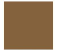 Terre Mat 143 / 983 Pot De Peinture Acrylique 17ml - Prince August