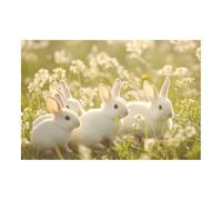 TERUEA Décoration murale classique vintage, Prairie printemps lapins blancs fleurs sauvages Costume d'animaux sur toile - Décoration murale pour chambre à coucher(Blanc)-40x60cm Sans cadre