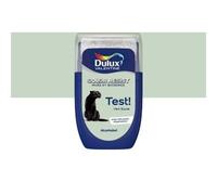 Testeur peinture murs et boiseries Dulux Valentine Color Resist vert saule mat 30ml