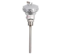 Tête de borne de thermocouple, sonde de capteur de température en acier inoxydable 201 RTD PT100, tête de borne de thermocouple à filetage 1/2 "NPT(100mm)