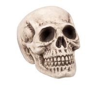 Tête de mort 23 x 22 x 31 cm - Blanc