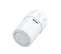 Tête thermostatique Danfoss RAX 6070 (013G6070)