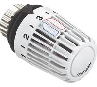 Tête thermostatique Heimeier K sonde intégrée pour les piscines
