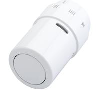 Danfoss Tête thermostatique RAX 6070 (013G6070) Living Design