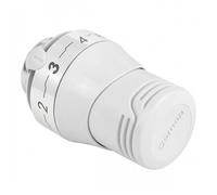 Tête thermostatique renforcée M30 avec sonde liquide Senso COMAP