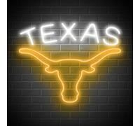 TEXAS Longhorn Panneau néon à DEL pour décoration murale - Luminosité réglable - Panneau néon à suspendre alimenté par USB pour salle de jeux, cave, bar