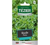 Tezier - Basilic Pistou