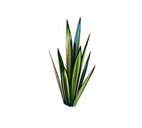 TGRTY Plante d'agave Artificielle, Sculpture Rustique, Plante d'agave en métal Bricolage, décorations de Jardin à la Maison, Ornements de pelouse.