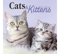 TGSC | Calendrier Chats et chatons 2027 - calendrier mural carré, vue mensuelle avec espace pour vos rendez-vous, 30 x 30 cm