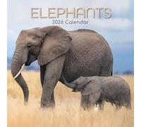 TGSC | Calendrier mural 2026 avec éléphants sur 16 mois (septembre 2025 à décembre 2026) - Calendrier mural familial carré 2026 au Royaume-Uni | Planificateur avec grande grille pour l'organisation de
