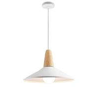 THAELY Luminaires Suspendus À Cône Grande Suspension De Salon Lampe À Suspension Décorative Au Design Coloré Lampe À Suspension D'intérieur pour Cuisine, Salle À Manger, Grange, Bar. Lampe E26/E27