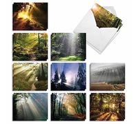 The Best Card Company - 20 cartes vierges paysage nature (10 x 13 cm) (10 motifs, 2 de chaque) - Shining Through AM1735OCB-B2x10