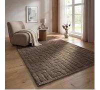 the carpet Elisa tapis de salon moderne, design géométrique, haute densité de velours et agréablement doux, Marron, 120 x 160 cm