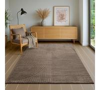 the carpet Everest - Tapis Salon Moderne à Poils Courts avec Effet de Haut en Bas, Effet 3D, Haute densité de Poils et agréablement Doux, Marron, 200 x 290 cm