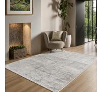 the carpet Janelle élégant de Haute qualité en Viscose pour Salon, Tapis à Poils Courts tissé à la Main avec qualité Premium, Facile d'entretien, résistant à la décoloration, Gris, 200 x 290 cm