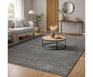 the carpet Marley, Tapis Élégant de Designer, Tapis de Salon, À Poils Courts, Doux, Facile d'entretien, Élégant, Uni, Anthracite, 200 x 290 cm