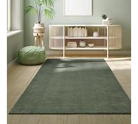 the carpet Relax - Tapis Moderne Moelleux à Poils Courts, antidérapant, Lavable Jusqu’à 30°C, Super Doux, Aspect Fourrure, pour Salon et Chambre, décoratif, Vert, 200 x 280 cm