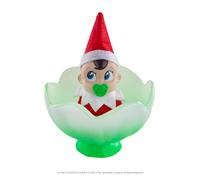 The Elf on The Shelf Frost Pips Mini Blooms Elfe pour bébé garçon avec Yeux Bleus - Comprend Un Berceau de Fleurs givrées - À partir de 3 Ans