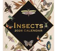 The Gifted Stationary Calendrier mural carré 2026 avec 16 mois sur le thème des arts et des antiquités avec 180 autocollants de rappel, planificateur mensuel pour la maison ou les espaces créatifs