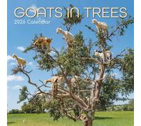 The Gifted Stationary Calendrier mural carré 2026, chèvres dans les arbres, calendrier à suspendre sur le thème des animaux avec 180 autocollants de rappel, planificateur mensuel pour la maison et les