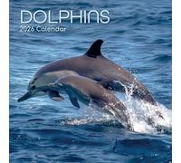 The Gifted Stationary Calendrier mural carré 2026, motif dauphins, calendrier à suspendre sur le thème des animaux avec 180 autocollants de rappel, planificateur mensuel pour espaces créatifs, 30,5 x