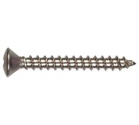 The Hillman Group 823700 Boite de Vis, Lot de 100 vis cruciformes en acier inoxydable à tête ovale 25,4 x 5,1 cm