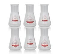 The Illusionist Distillery Édition FC Bayern Munich Verres | Set de 6 Verres Gin & Tonic | Fioles Erlenmeyer Premium | Perfect Serve | 250 ml