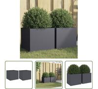 The Living Store Bac à plantes 2 pcs. Anthracite 32x30x29 cm Acier laminé à froid