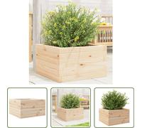The Living Store bac à plantes 40x40x23 cm pin massif