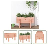 The Living Store Bac à plantes 62x30x38 cm Bois massif Douglas