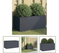 The Living Store Bac à plantes Anthracite 62x30x29 cm Acier laminé à froid