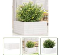 The Living Store Bac à plantes blanc 50x50x23 cm pin massif