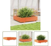 The Living Store Bac à plantes brun cireux 110x110x26,5 cm Pin massif