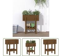 The Living Store Bac à plantes brun miel 62x30x69 cm pin massif