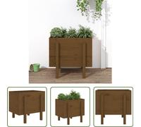 The Living Store Bac à plantes brun miel 62x50x57 cm Pin massif