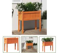 The Living Store Jardinière avec pieds Marron cire 70x31x70 cm Pin massif