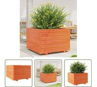 The Living Store Jardinière Marron Cire 70x70x49,5 cm Pin massif