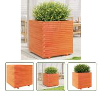 The Living Store Jardinière Marron Cire 70x70x72,5 cm Pin massif