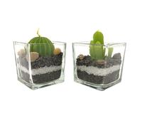 THE REPLICANT Lot de 2 Bougies Parfumées Forme Cactus avec Verrine/Dimension : 5,3 x 5,5 cm