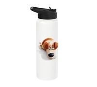 The Secret Life of Pets Max Stainless Steel Insulated Water Bottle