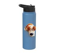 The Secret Life of Pets Max Stainless Steel Insulated Water Bottle