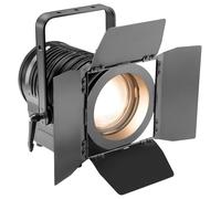 THEATRE SPOT FRES 100W W WARM WHITE ; CLTS100WW (CAMEO) Quantité X 1
