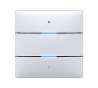 Theben iON 102 KNX bouton-poussoir, 2 touches, 2 LED d'état, capteur de température, blanc