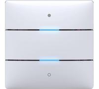 Theben 4969232 ION 102 KNX Bouton-Poussoir 2 Touches Secure