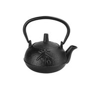 Théière à Thé en Fer avec Passoire à Thé en Fonte de Style Japonais Bouilloire 0.3L G
