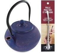 Théière en fonte chinoise Song 1,2 L + paille inox avec filtre Multicolore G