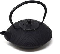 Théière, fonte, avec filtre en acier inoxydable, 0,8 l, convient à tous les types de cuisinières