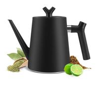 Théière isotherme inox 1,5L : double paroi, filtre, design moderne, noir