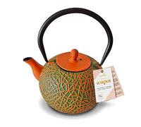 Théière Japonaise Tetsubin en Fonte avec intérieure en émail et infuseur - Orange et Vert 0,8L