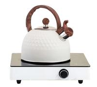 Théière vintage en acier inoxydable de 2,5 litres | Bouilloire sifflante pour jardin, terrasse, fête dans le jardin, camping, maison, appartement